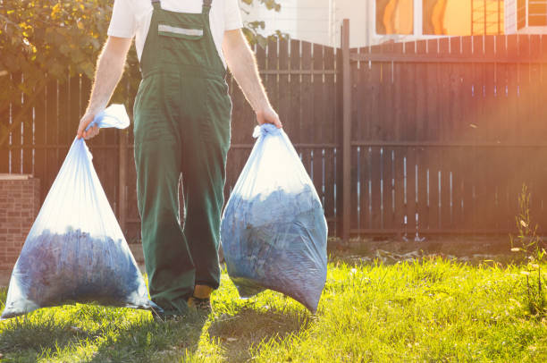 Best Dumpster Rental Services  in Tonto Basin, AZ